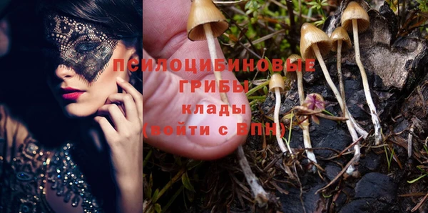 амф Абинск