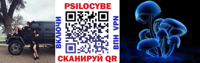Псилоцибиновые грибы Cubensis Чухлома